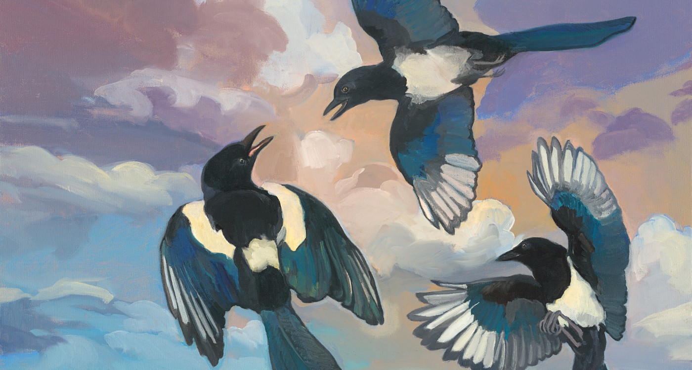 Kathryn Stedham - West: Reimagined