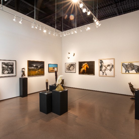 360 Gallery View | Lew Brennan