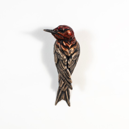 Bryce Pettit - Gila Woodpecker