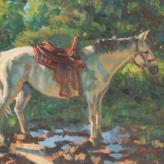 Navajo Saddle
