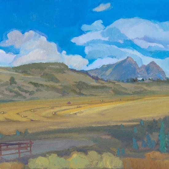 Kathryn Stedham - The Long View