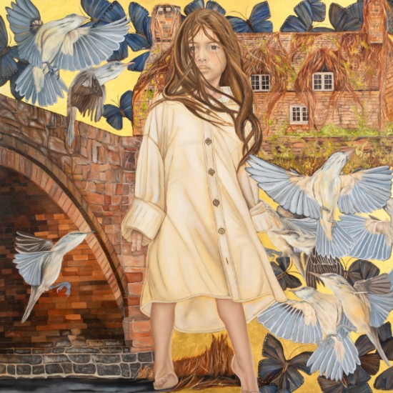 Robin Jones - The Thin Veil