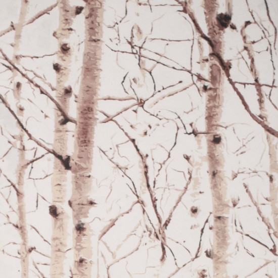 Eunika Rogers - Lost in the Forest