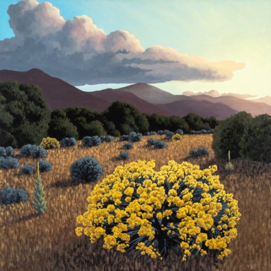 Doug West - A Dawn Passage