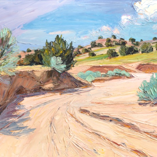 Arroyo Between Storms