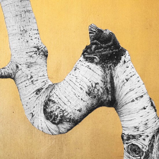 Ted Moore - The Secret