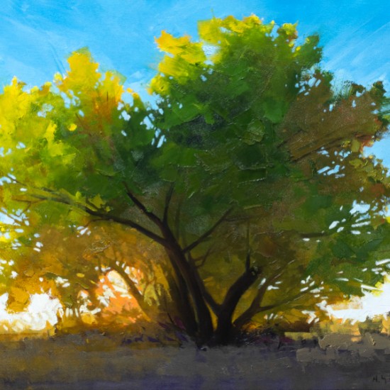Matthew Sievers - In the Shade of a Simple Tree