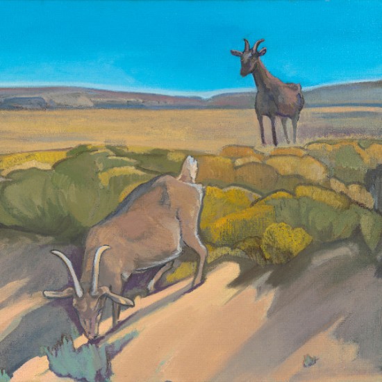 Kathryn Stedham - Rez Goats