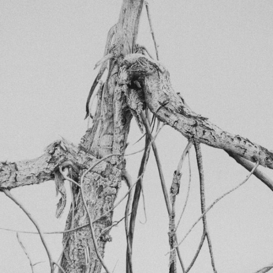 Ted Moore - Hoc Signo