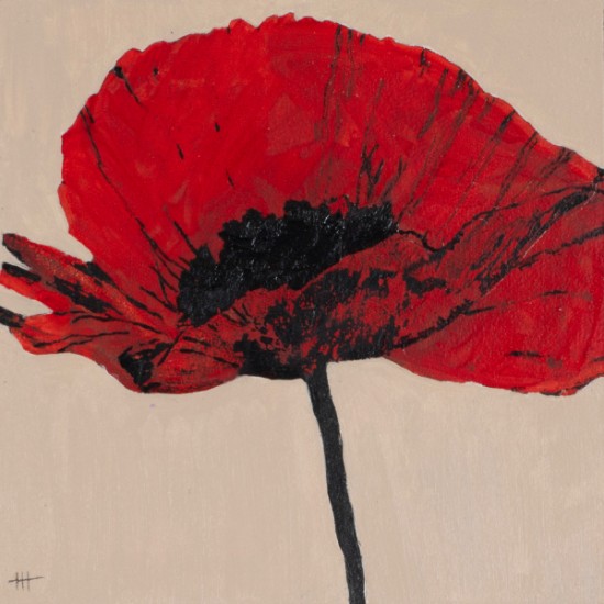 Helen K. Tindel - Guadalupe Street Feature