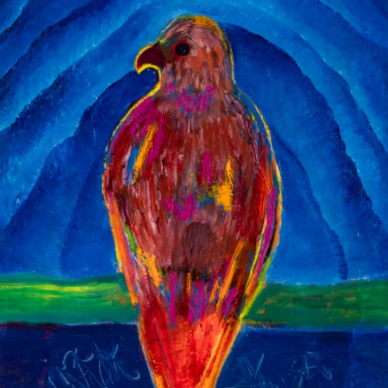 Jesse Littlebird - Red Tail Hawk Study No. 5