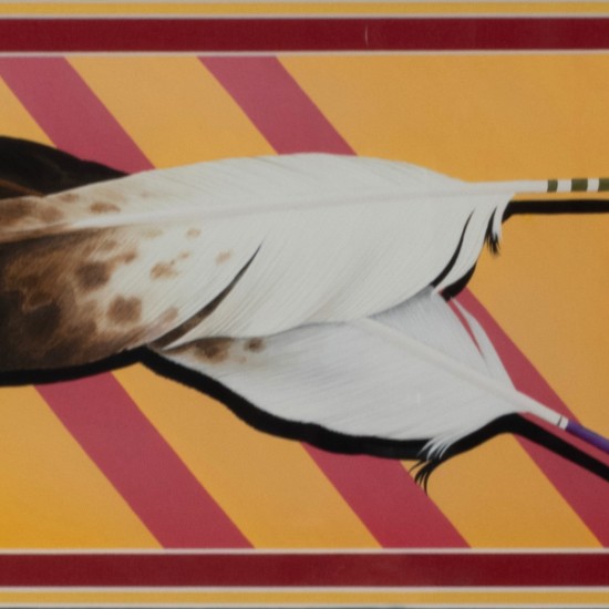 Donald Vann - Vietnam Feathers