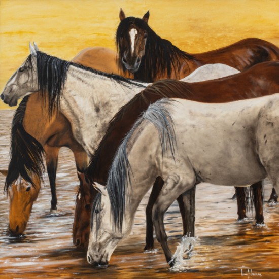 Lew Brennan - Ear's Up At The Waterhole