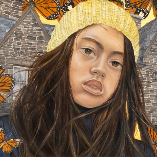 Robin Jones - Snowdonia