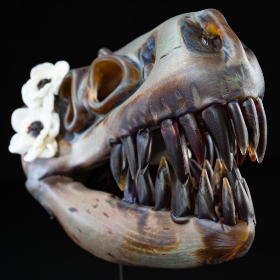 Kelly O’Dell - Guadalupe Street Feature: Ancient Futures