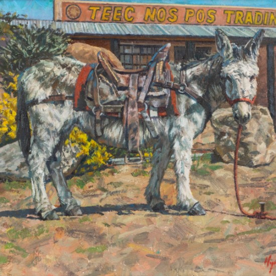Hyrum Joe - Behavin' at the Teec Trading Post