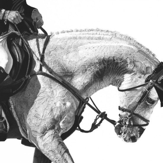 Lew Brennan - Zoe's Beauty