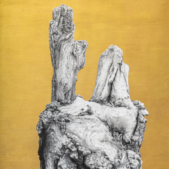 Ted Moore - Close Fist Opened