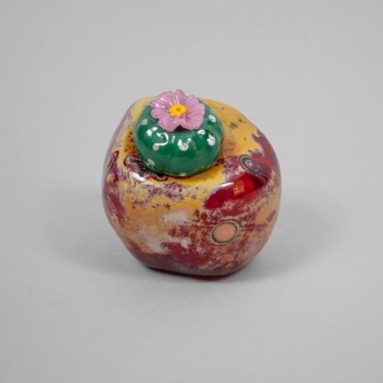 Spooner Marcus - Desert Red Peyote Rock