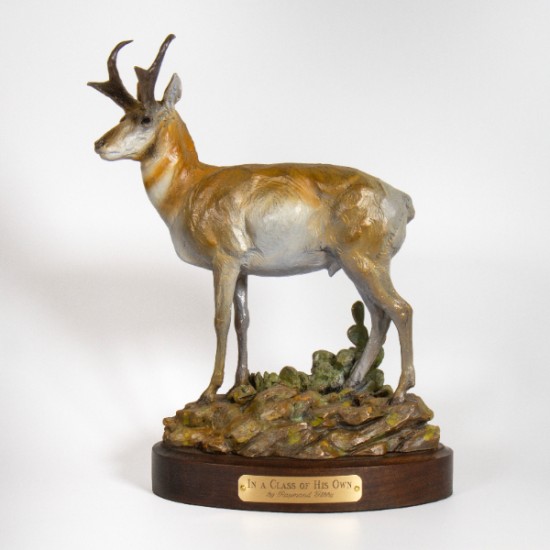 Raymond Gibby - In a Class of His Own