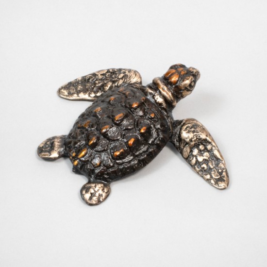 Bryce Pettit - Sea Turtle Hatchling