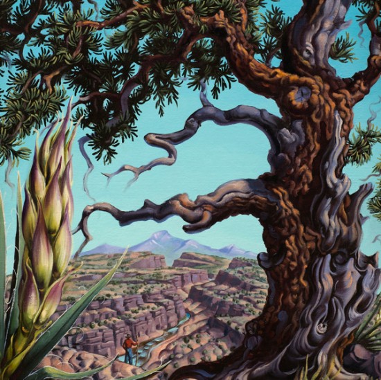 Jim Vogel - Vistas, Vignettes & Vecinos