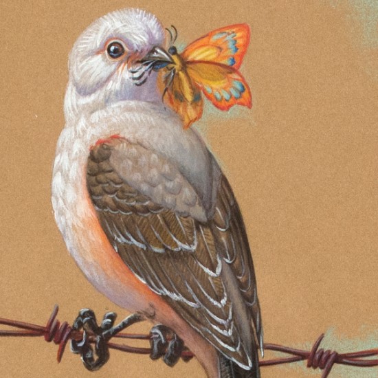 Jim Vogel - Bird on a Wire