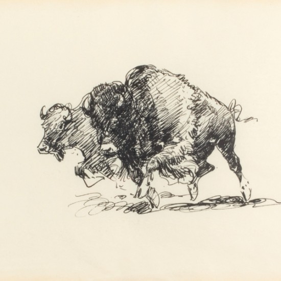 Two Buffalo