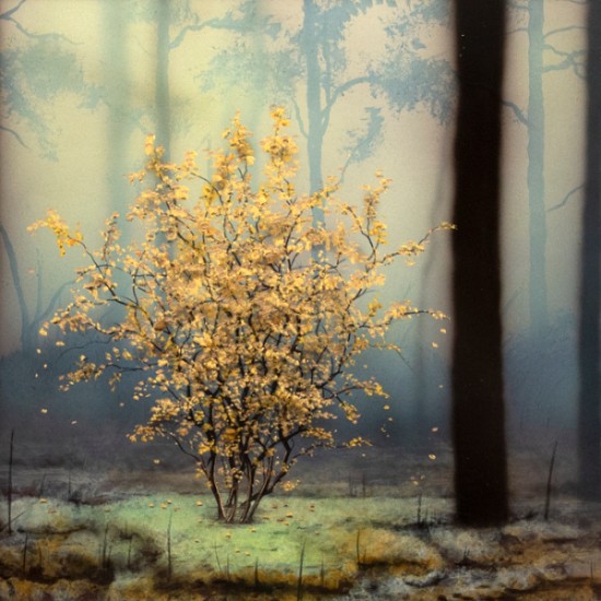 Bryce Pettit - Two Man Show: New works