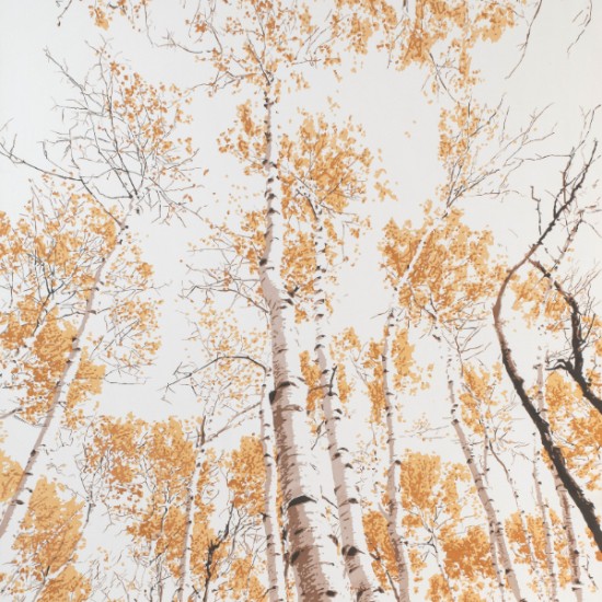 Eunika Rogers - "Komorebi," New Terroir Paintings