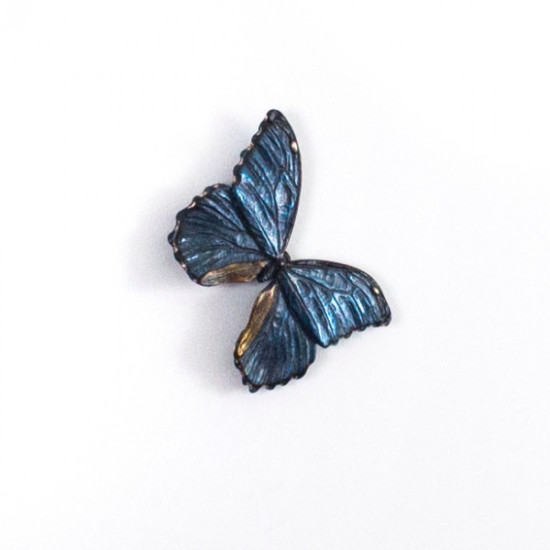 Bryce Pettit - Individual Blue Morpho