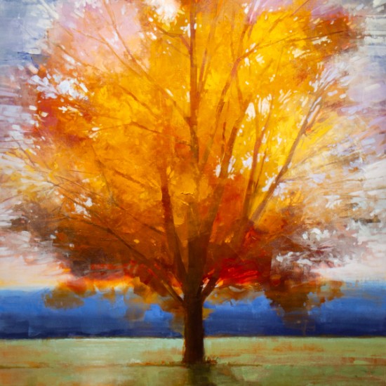 Matthew Sievers - Light and Leaves