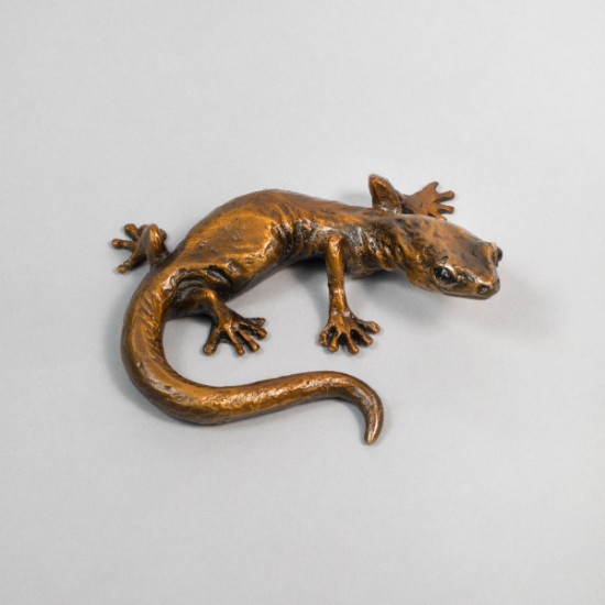 Bryce Pettit - Gecko