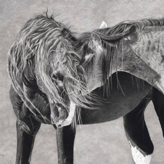 Lew Brennan - We Were in the Wilderness