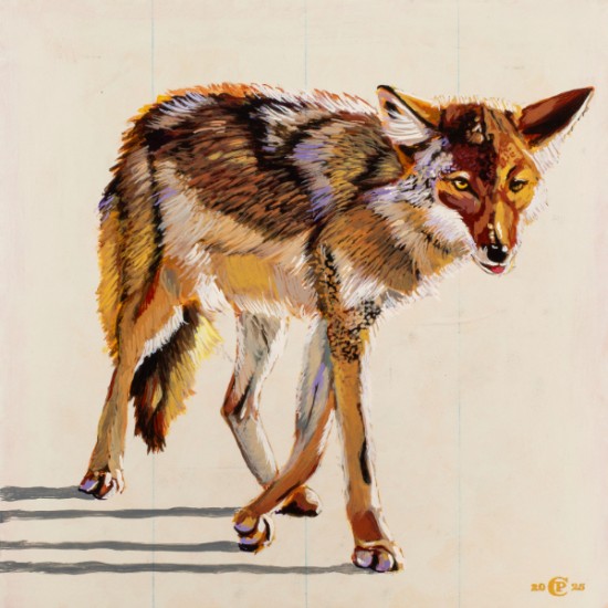 Chris Pappan - Coyote-O!