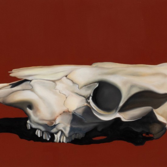 Paige Pierson - Sun Bleached Past