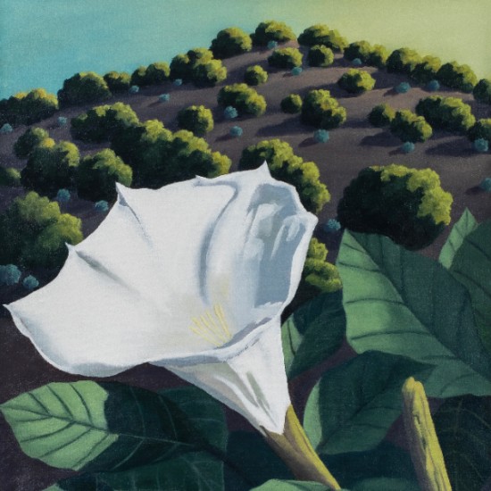 Doug West - Sacred Datura