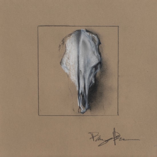 Paige Pierson - Skull Study