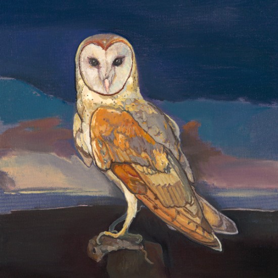 Kathryn Stedham - Night Bird