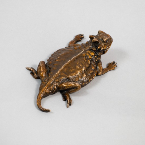 Bryce Pettit - Horned Toad