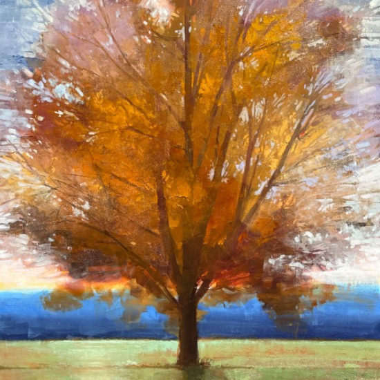 Matthew Sievers - Light and Leaves