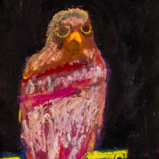 Jesse Littlebird - Hawk Study