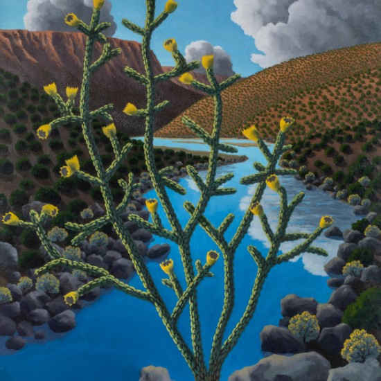 Doug West - Cholla Canyon