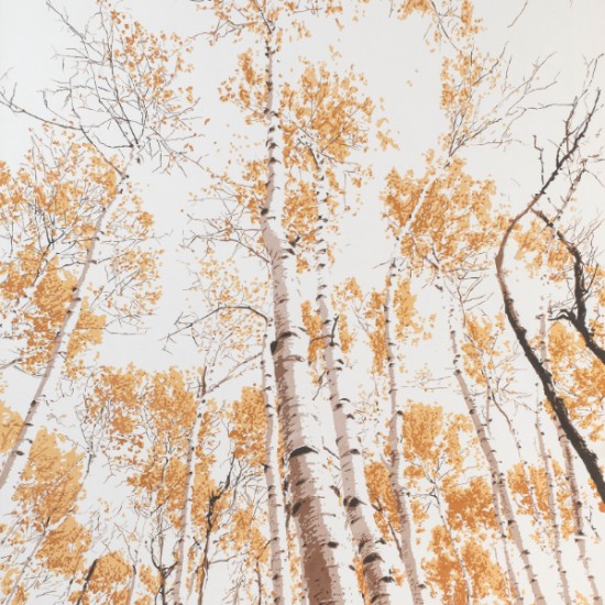 Eunika Rogers - Listen... It Answers