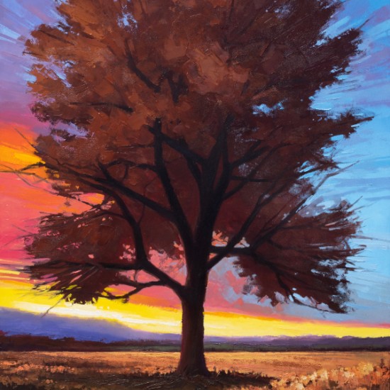 Matthew Sievers - Sunset Tree