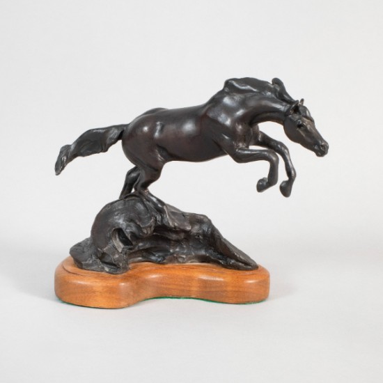 Bronze Horse