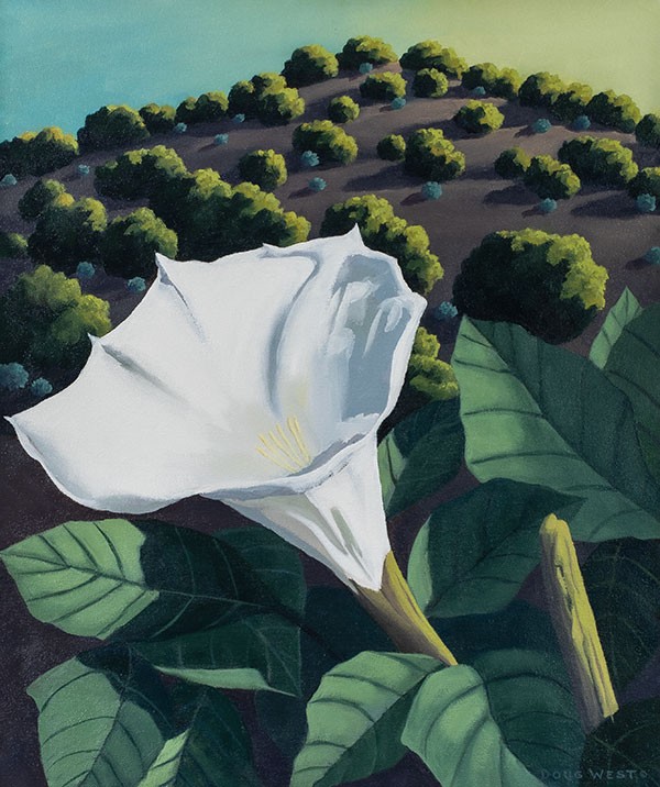 Doug West, Sacred Datura, oil on canvas, 24